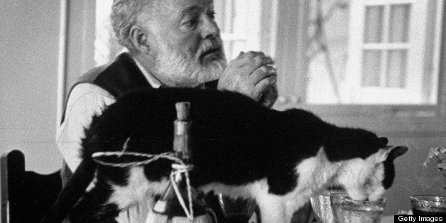 American author Ernest Hemingway sitting at table where cat drinks out of water glass in foreground. (Photo by Tore Johnson/Pix Inc./Time Life Pictures/Getty Images)