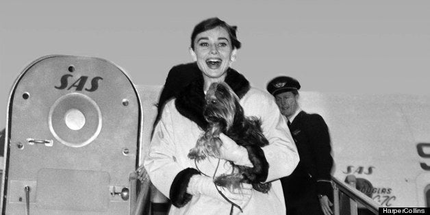 Rare Audrey Hepburn  Audrey hepburn, Audrey hepburn pictures, Audrey  hepburn style