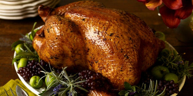 How The Turkey Got Its Name Excerpt Huffpost Entertainment