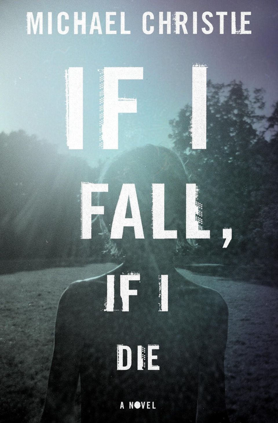 'If I Fall, If I Die' by Michael Christie