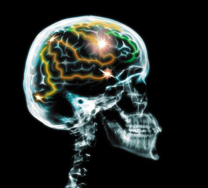 Antonio Damasio【Neuroscience】Thinking Heads