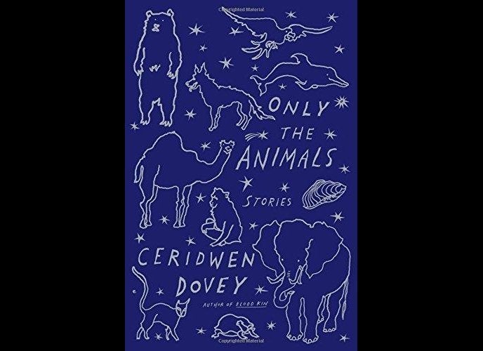 "As unsettling as they are beautiful, these quietly wise stories wedge themselves into your mind—and stay there."
Wonderfu