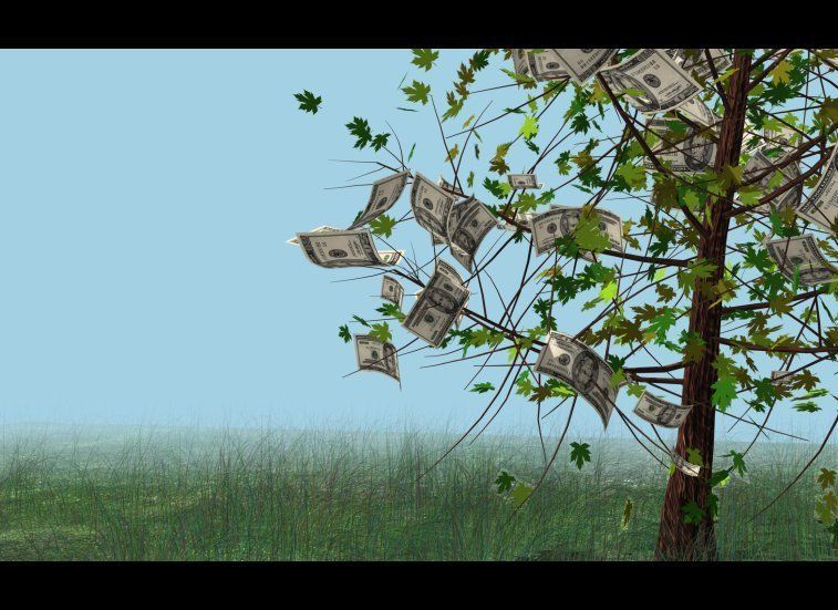 Money doesn't grow on trees.