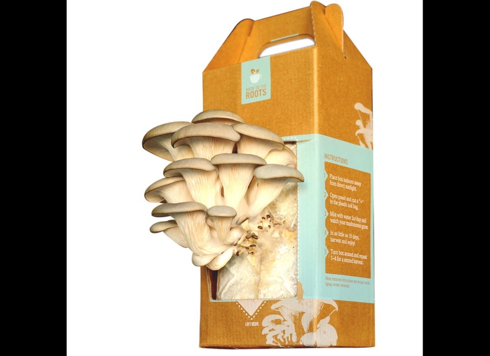 What boomer doesn't love a good mushroom? Oh wait; it's not 1968 anymore. OK, well <a href="http://www.backtotheroots.com/" t