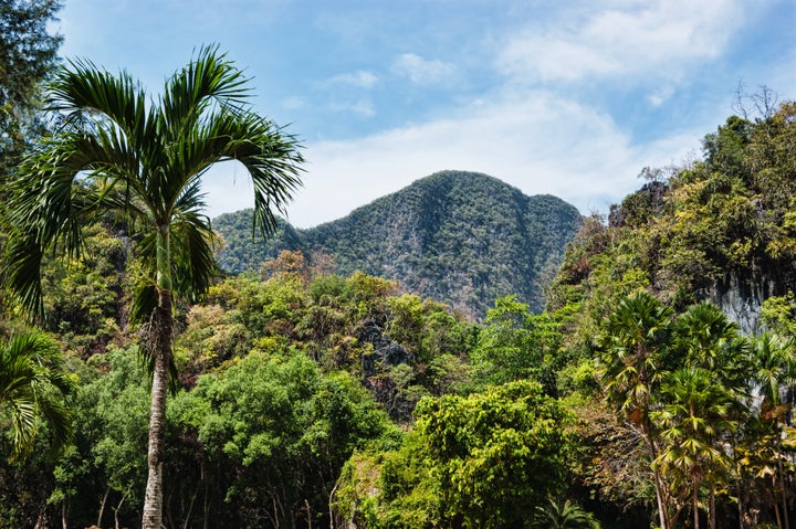 tropical landscape in phuket...