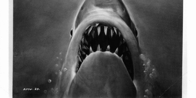 Susan Backlinie swimming as the Great White Shark swims up in publicity art for the film 'Jaws', 1975. (Photo by Universal/Ge