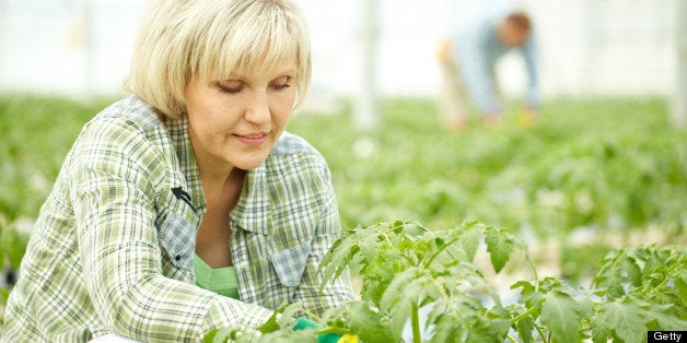 Agricultural worker