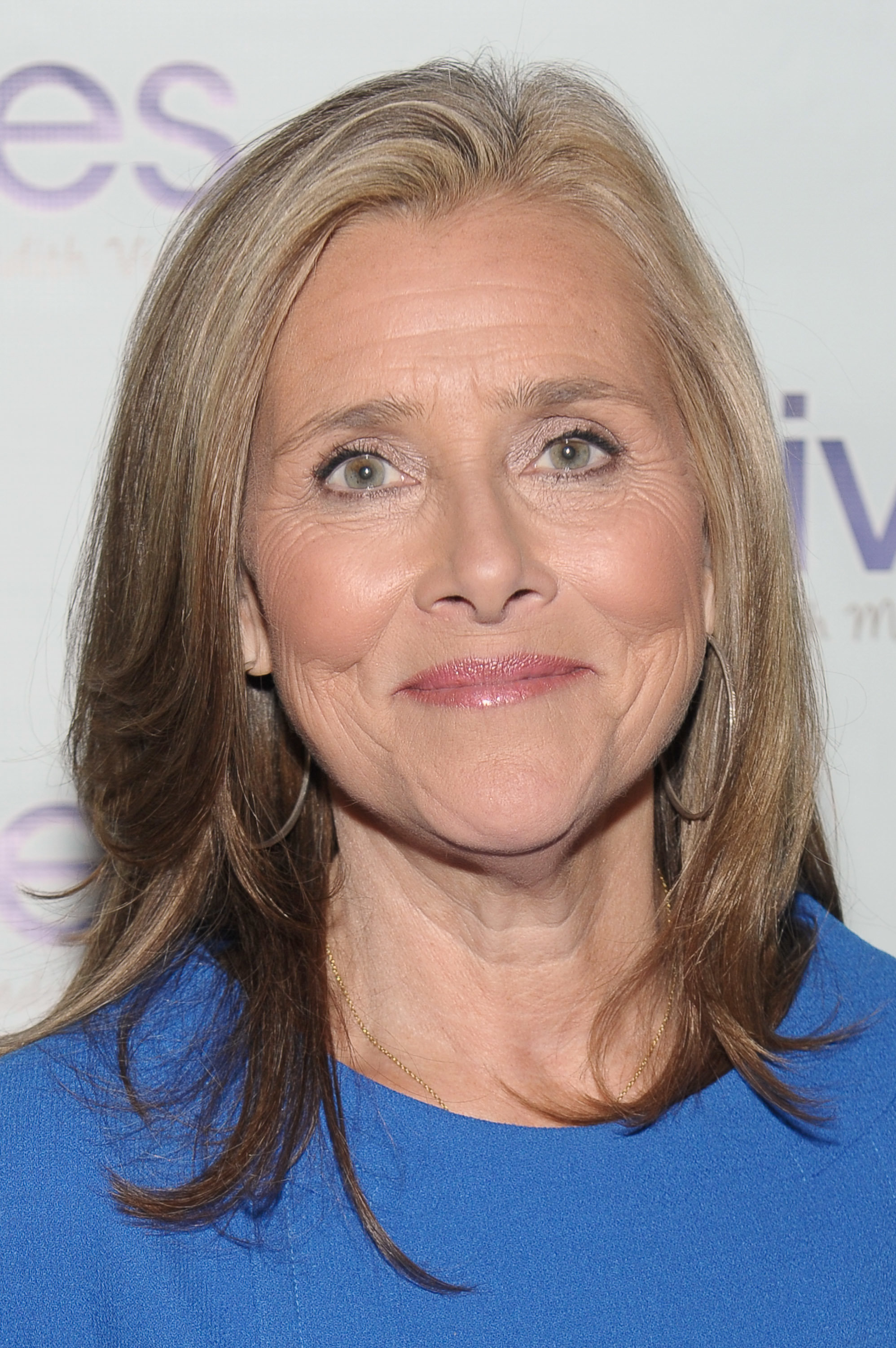 Meredith Vieira Fakes