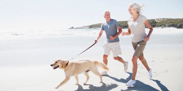 dating sites for animal