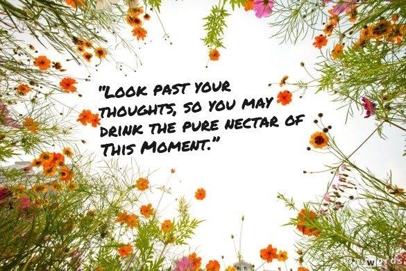 Look past your thoughts (Daily Quote by Rumi)