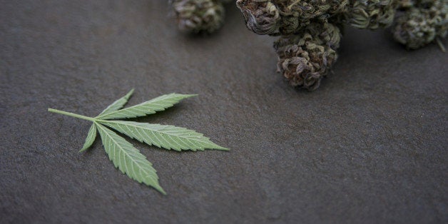 Marijuana buds and leaf on stone.