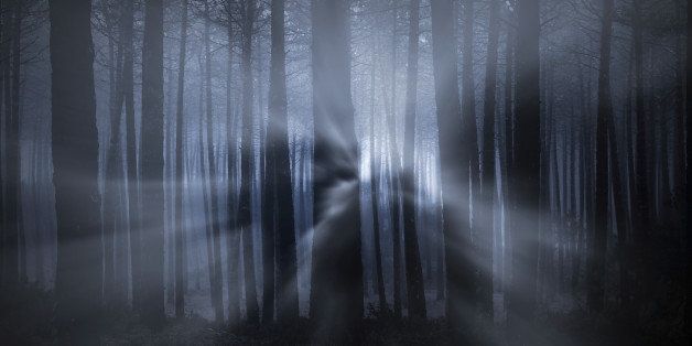 Spooky foggy forest at night with light beams