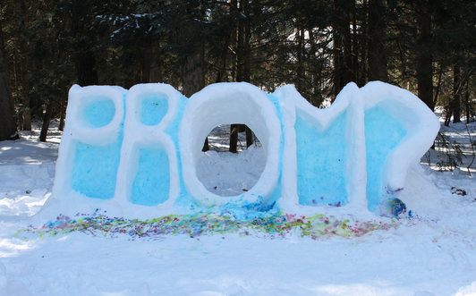 Snow Sculpture 