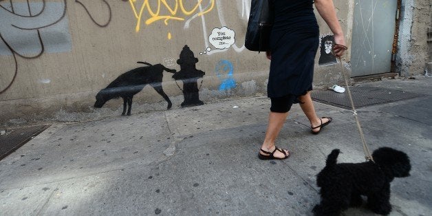 A woman walks by a street art graffiti by elusive British artist Banksy, as part of his month-long Better Out Than In exhibit, in New York, October 3, 2013. Banksy will be attempting to host an entire show on the streets of New York during a month residency. AFP PHOTO/Emmanuel Dunand (Photo credit should read EMMANUEL DUNAND/AFP/Getty Images)