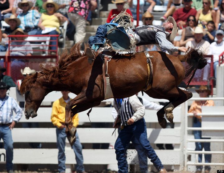 My First Rodeo | HuffPost Sports