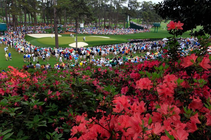 The azaleas were in full bloom overlooking the 16th green during the first round of the Masters at Augusta National Golf Club in Augusta, Georgia, Thursday, April 11, 2013. (Tim Dominick/The State/MCT via Getty Images)