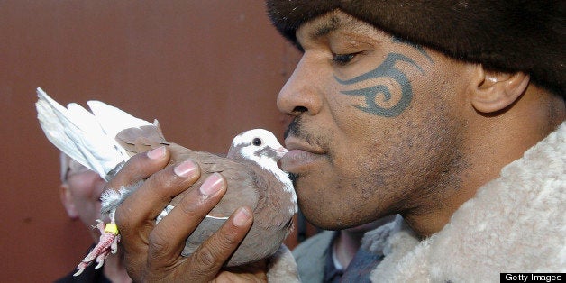 WALSALL, UNITED KINGDOM - NOVEMBER 18: Former world heavyweight boxing champion Mike Tyson meets up with a pigeon fancier Horace Potts (L), of Bloxwich, Walsall, West Midlands on November 18, 2005 in Walsall, England. Tyson who is well known for his love of pigeons dropped in to the home of pigeon fancier Horace Watts whilst on route to Birmingham, England, for a hotel dinner boxing event. (Photo by Stringer/Getty Images)