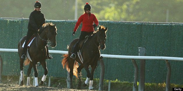 ELMONT, NY - JUNE 04: Exercise rider Jennifer Patterson aboard Kentucky Derby winner Orb (L) walks off the track with trainer Shug McGaughey (R) following a light workout on the track at Belmont Park on June 4, 2013 in Elmont, New York. (Photo by Al Bello/Getty Images)
