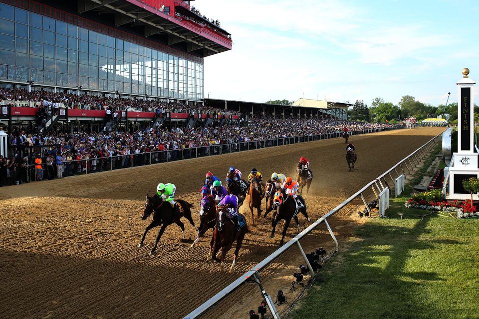 California Chrome Wins The Preakness To Keep Triple Crown Dream Alive