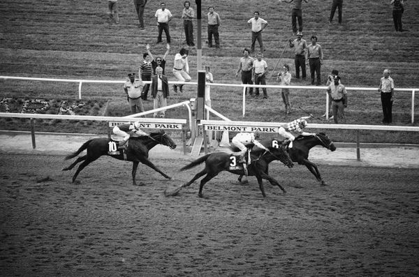 American Pharoah Wins First Triple Crown Since 1978 At Belmont Stakes ...