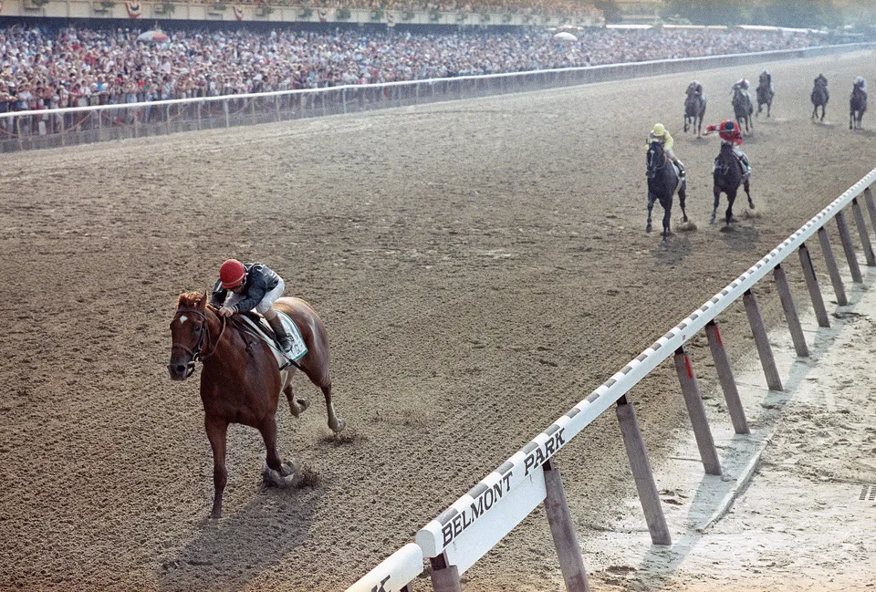 American Pharoah wins Belmont Stakes to become horse racing's first Triple  Crown winner since Affirmed in 1978 – New York Daily News