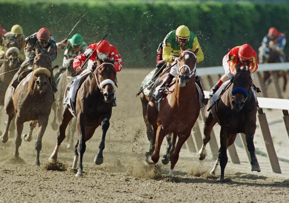 American Pharoah wins Belmont Stakes to become horse racing's first Triple  Crown winner since Affirmed in 1978 – New York Daily News