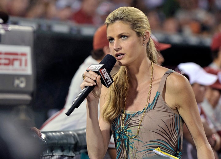 Erin Andrews Apologizes For What Happened During Packers-Cowboys