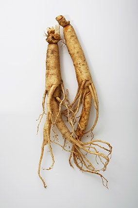 Ginseng