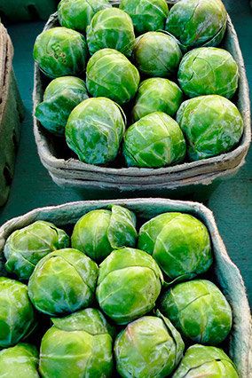 Best Cancer Fighter: Brussels Sprouts vs Broccoli
