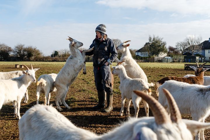 Lizzie Dyer runs Just Kidding, a farm producing free-range kid goat meat in Cirencester, England.
