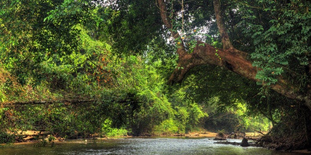 Sungai Melinau river in Gunung Mulu National Park, Malaysia.