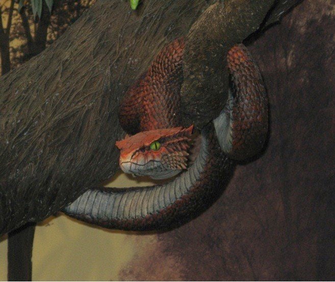 was-the-snake-in-the-garden-of-eden-satan-huffpost