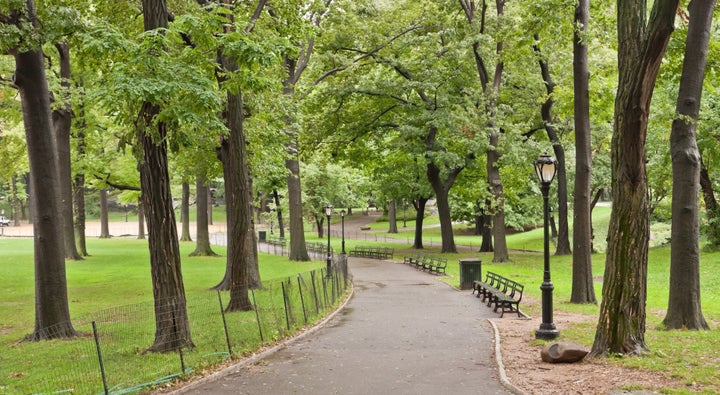 Description 1 One of the paths in en:Central Park | Central Park in en:New York | New York . 1 Uno de los senderos en es:Central Park | ...