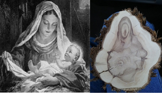 Virgin Mary In Log