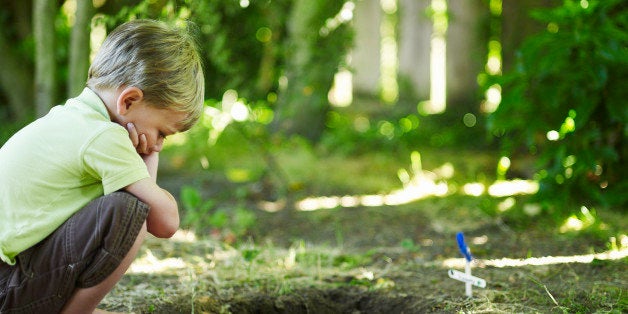 Boy looking into grave of pet.