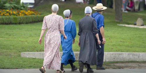 It's Raining Mennonites