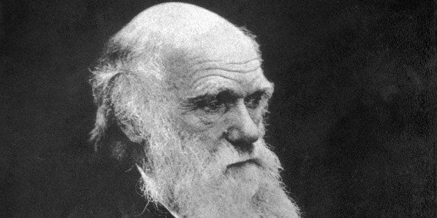 English naturalist and co-originator of the theory of evolution, Charles Darwin (1809 - 1882). (Photo by Spencer Arnold/Getty Images)
