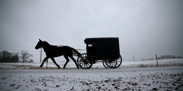 MECHANICSVILLE, MD - JANUARY 21: A horse pulls an Amish buggy during a snowfall January 21, 2014 in Mechanicsville, Maryland. A strong winter storm is bearing down on the East Coast between Virginia and Massachusetts and could dump four to eight inches of snow on the Washington area. (Photo by Mark Wilson/Getty Images)