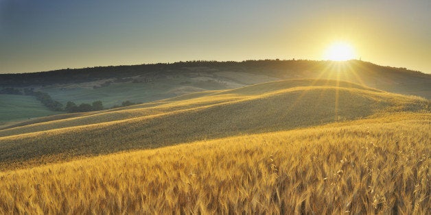 Grainfield with Sunrise in the Summer, San Quirico d'Orcia, Provinz Siena, Tuscany, Italy