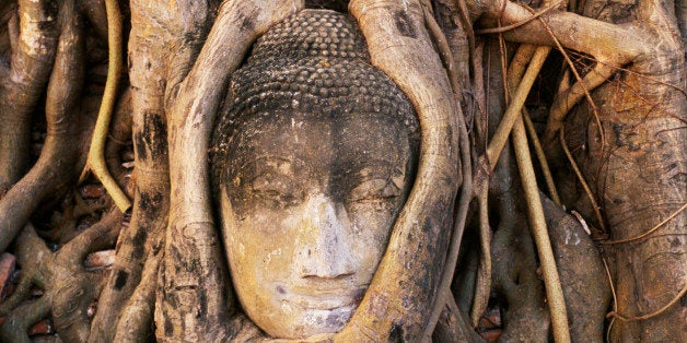 South East Asia, Thailand , Ayuthaya, Wat Mahathat, Buddha head entwined in roots of Banyan Tree