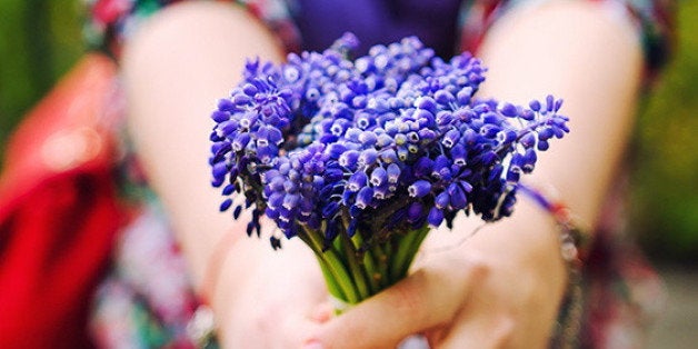 Muscari flowers