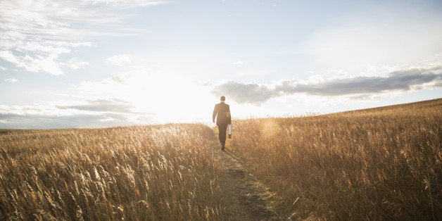 Rear view of businessman walking through field