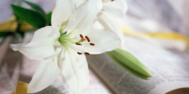 Lilies on open Bible
