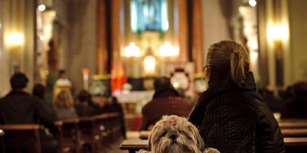A dog looks over the back of a pew as people take part in a mass at San Anton Church in Madrid, Thursday, Jan. 17, 2013, in honor of Saint Anthony, the patron saint of animals. The feast is celebrated each year in many parts of Spain and people bring their pets to churches to be blessed. (AP Photo/Daniel Ochoa de Olza)