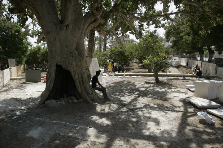 Zacchaeus' Tree Now A Top Tourist Destination | HuffPost Religion