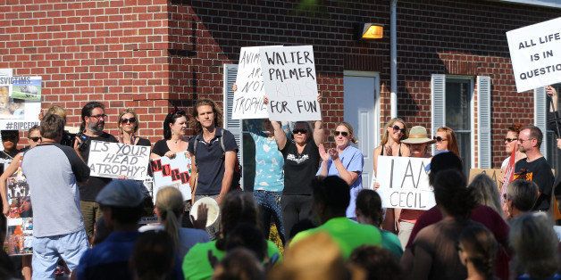 BLOOMINGTON, MN - JULY 29: Protesters condemn the alleged poaching of Cecil the lion in the parking lot of hunter Dr. Walter Palmer's River Bluff Dental Clinic on July 29, 2015 in Bloomington, Minnesota. According to reports, the 13-year-old lion was lured out of a national park in Zimbabwe and killed by Dr. Palmer, who had paid at least $50,000 for the hunt. (Photo by Adam Bettcher/Getty Images)