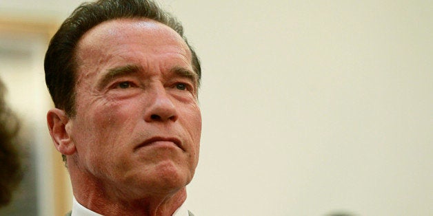 Former U.S. governor of California Arnold Schwarzenegger speaks to reporters at a news conference in Algiers June 25, 2013. R