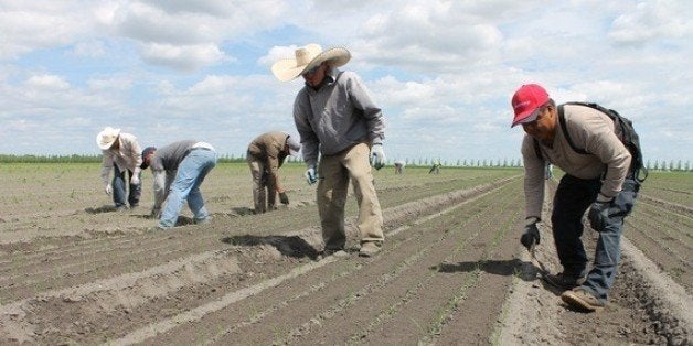 Seasonal Farm Workers Pay High Price So We Don T Have To Huffpost
