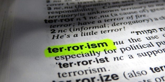 Dictionary definition of terrorism