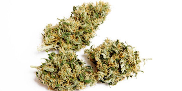 Medical marijuana. Used by patients with varying health symptoms. This is a Cannabis Sativa, also known as Skunk.